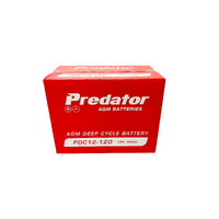 Load image into Gallery viewer, Battery AGM Predator 12V 120Ah
